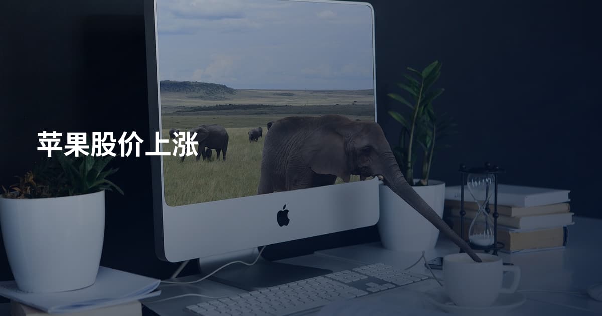 苹果股价上涨