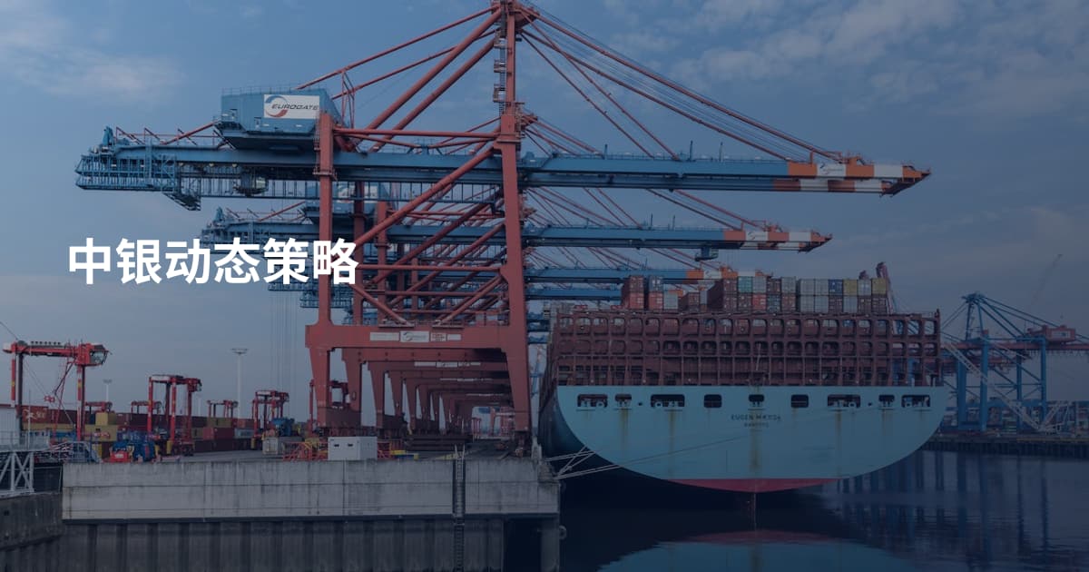 中银动态策略