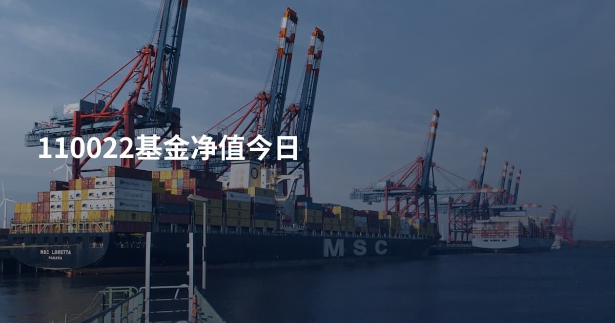 110022基金净值今日
