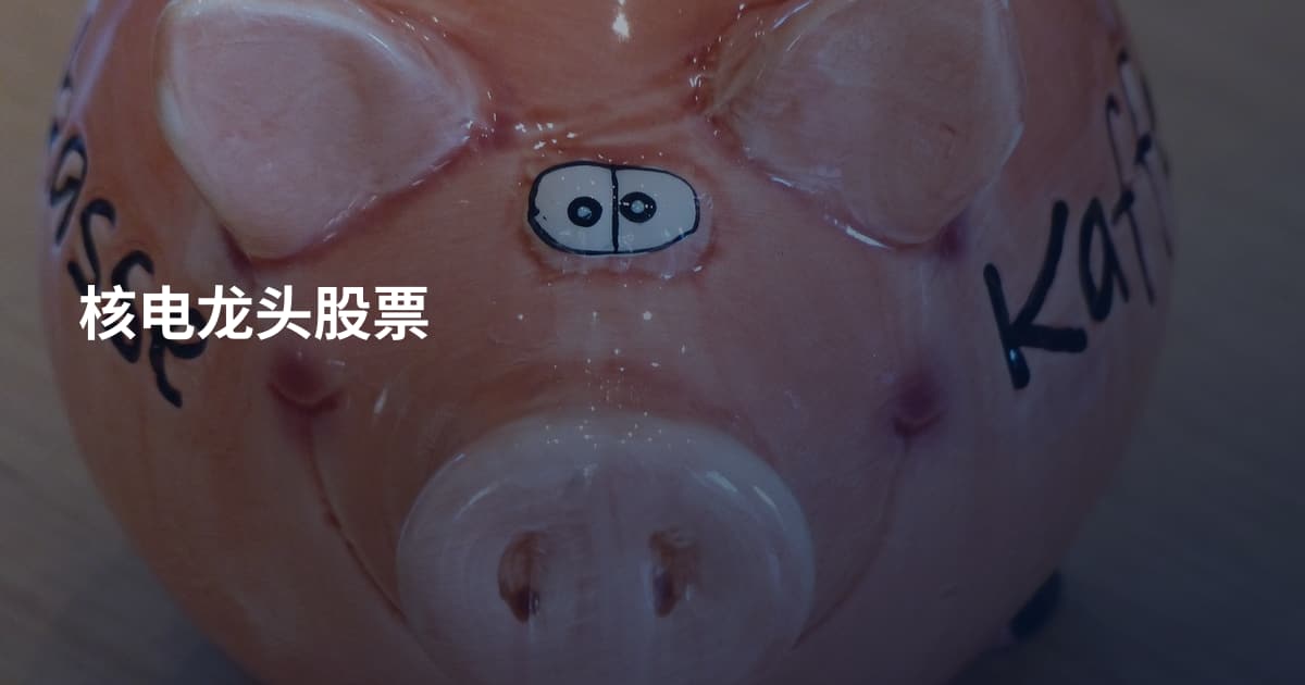核电龙头股票