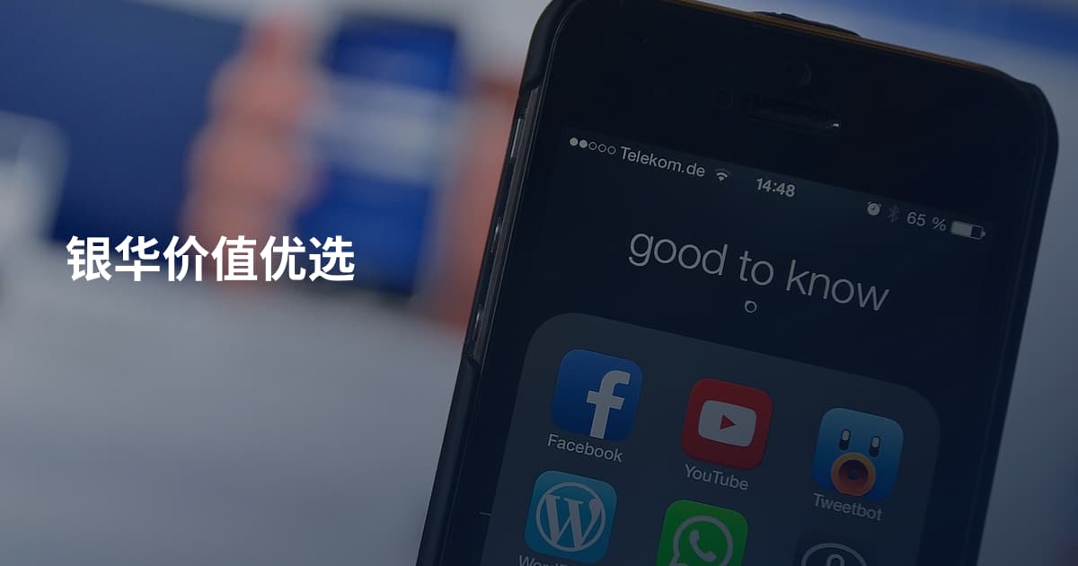 银华价值优选