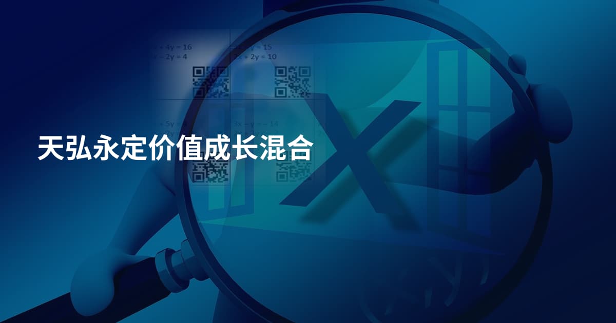 天弘永定价值成长混合