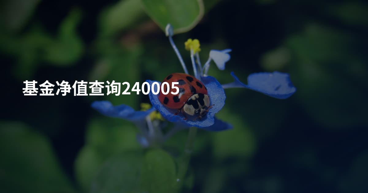 基金净值查询240005