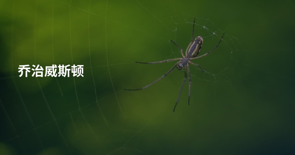 乔治威斯顿