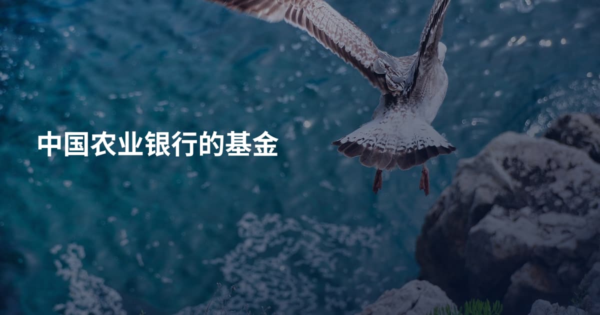 中国农业银行的基金
