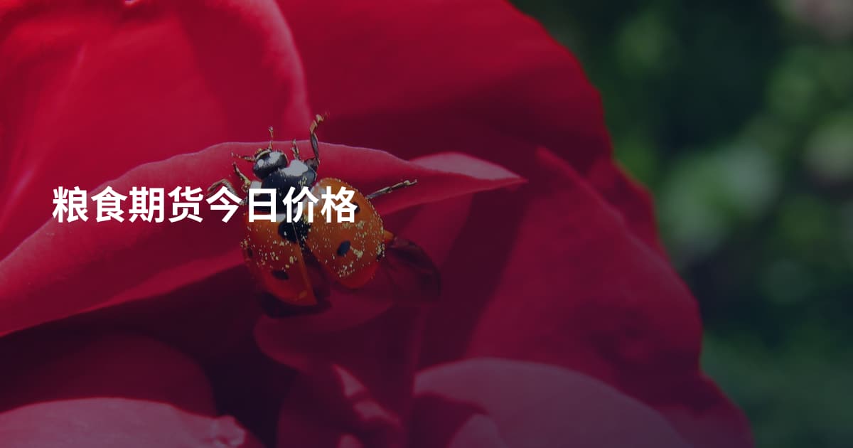 粮食期货今日价格