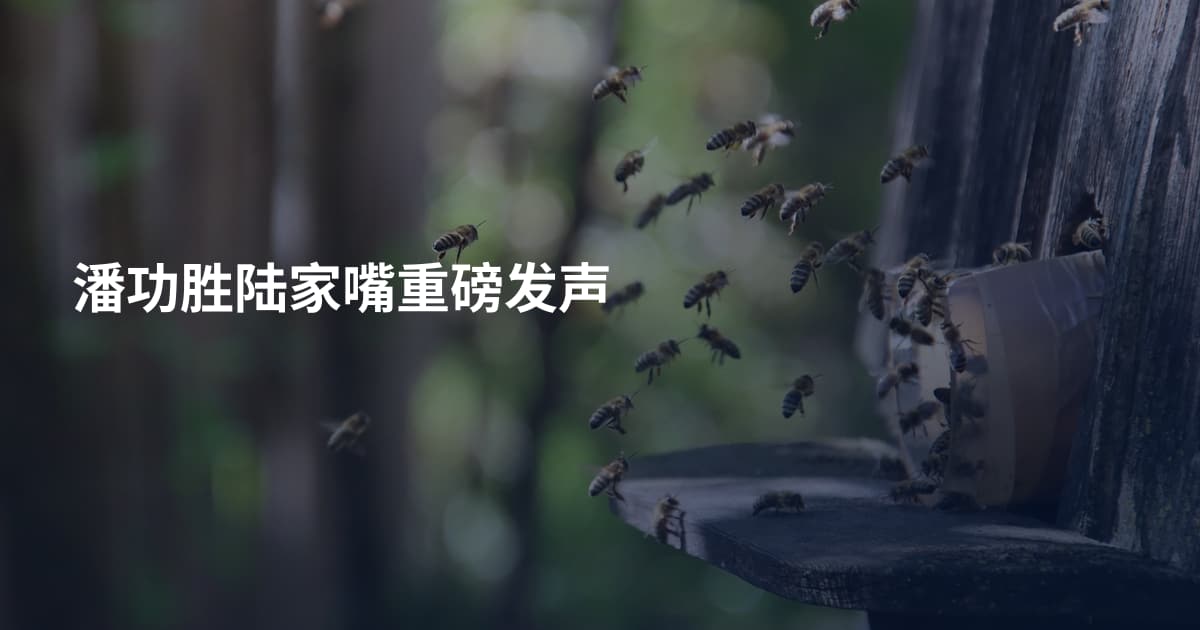 潘功胜陆家嘴重磅发声