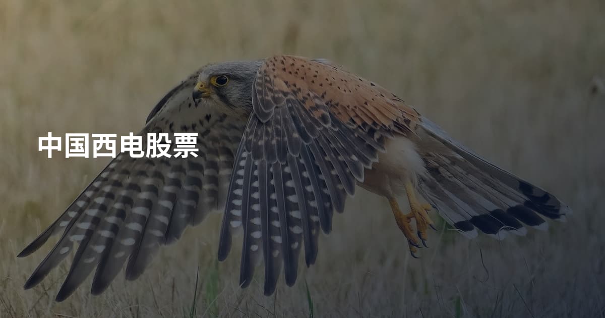中国西电股票