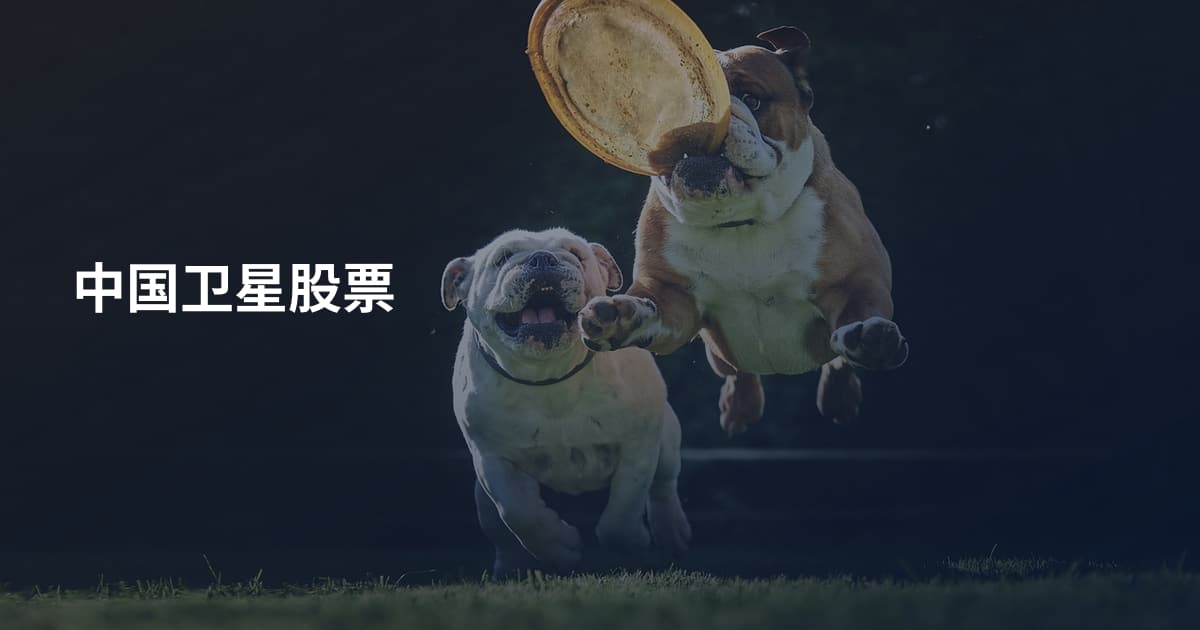中国卫星股票
