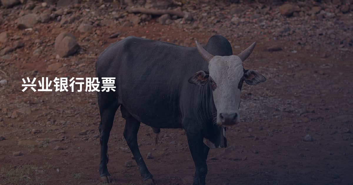 兴业银行股票