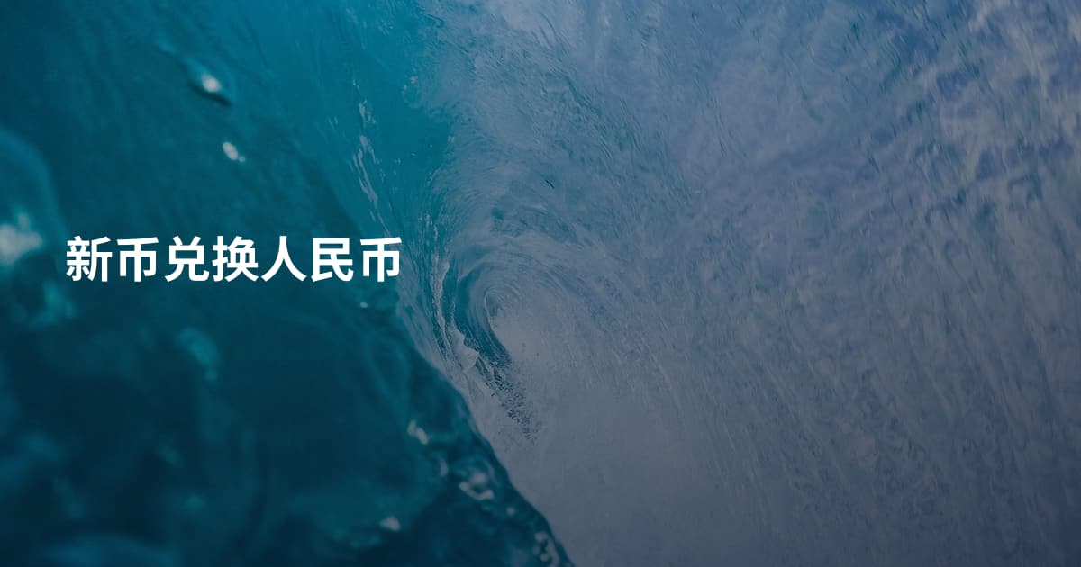 新币兑换人民币