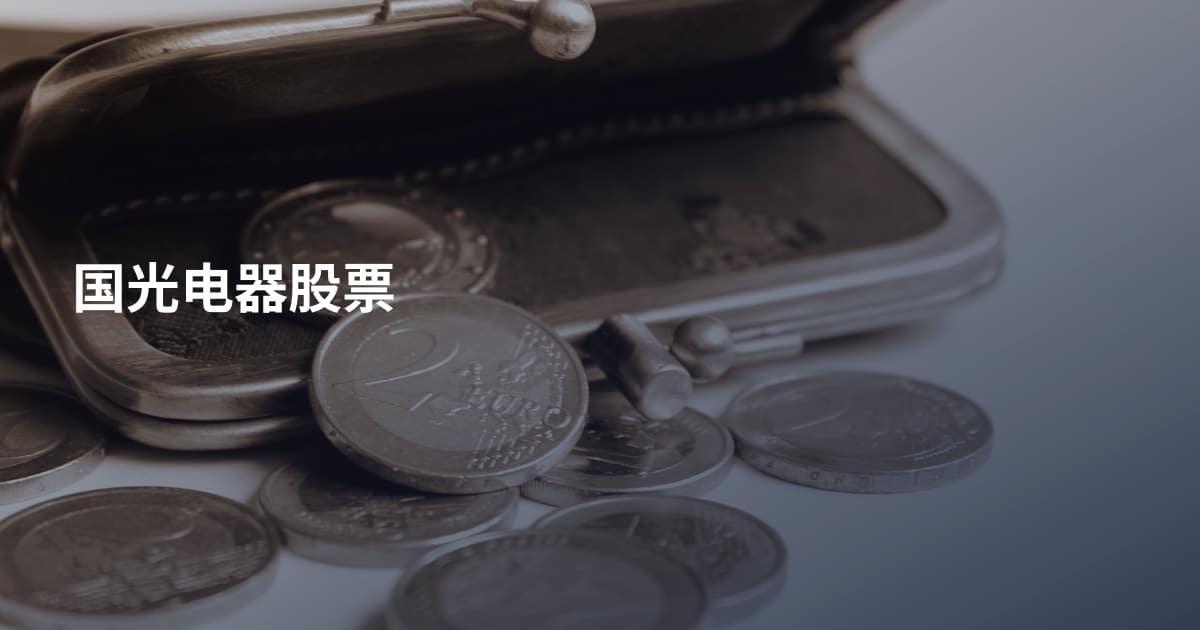 国光电器股票