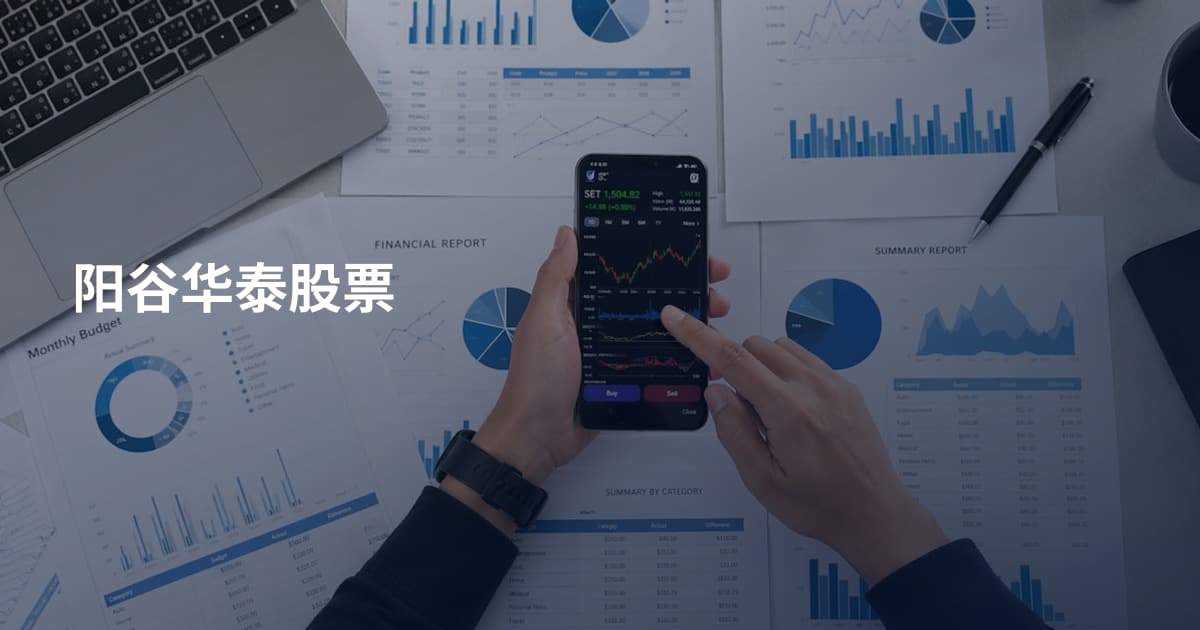 阳谷华泰股票