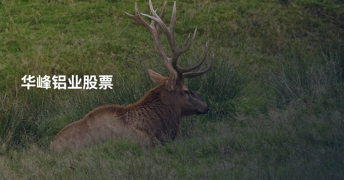 华峰铝业股票