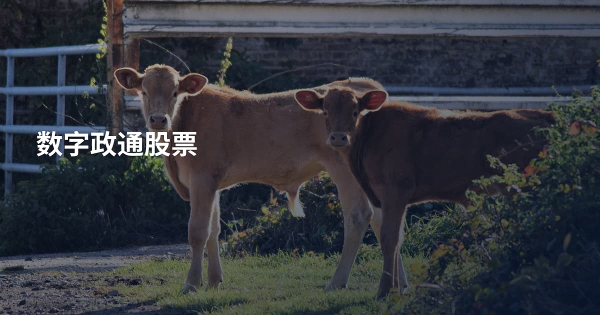 数字政通股票