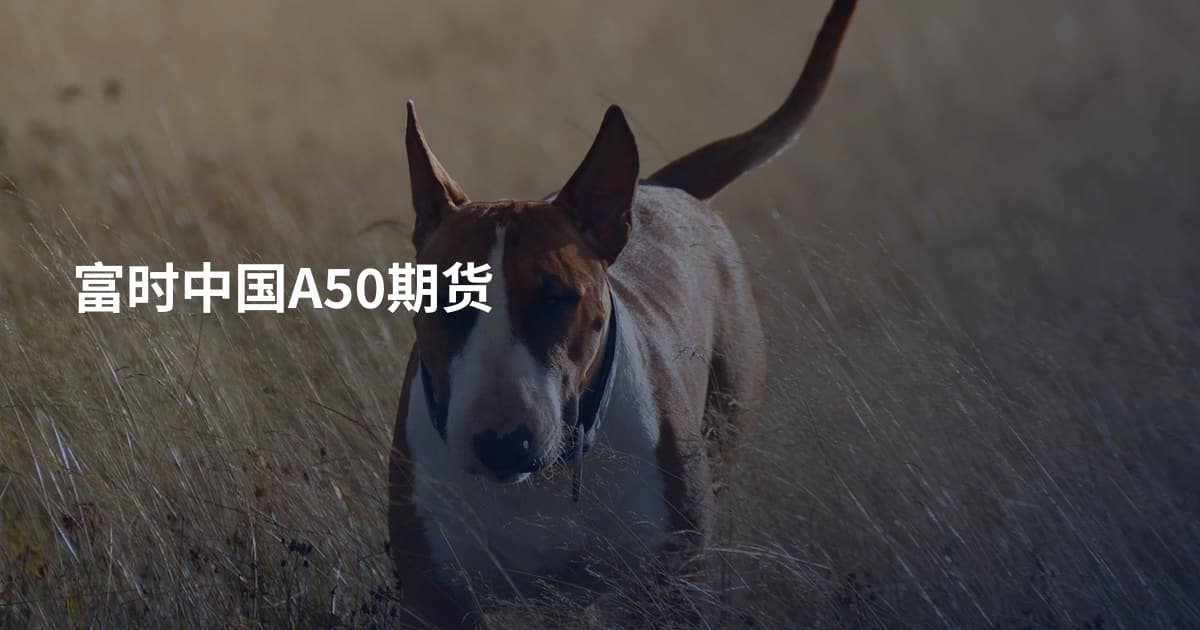 富时中国A50期货