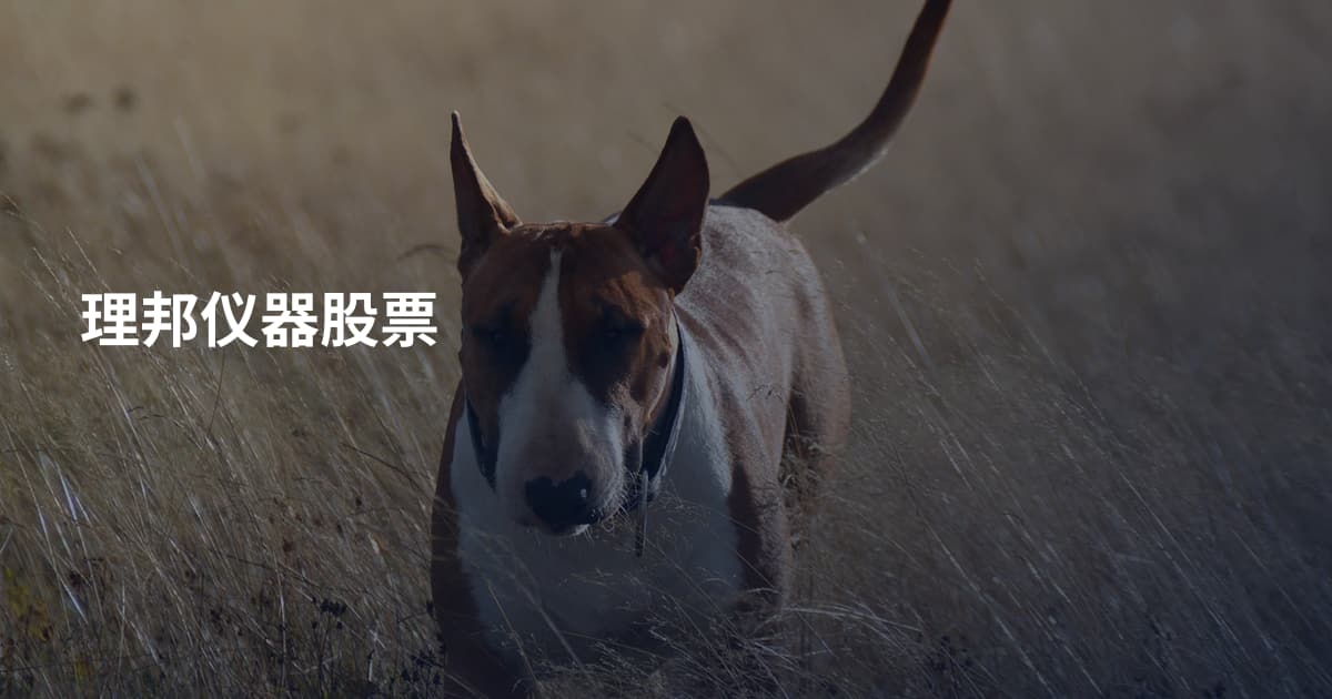 理邦仪器股票