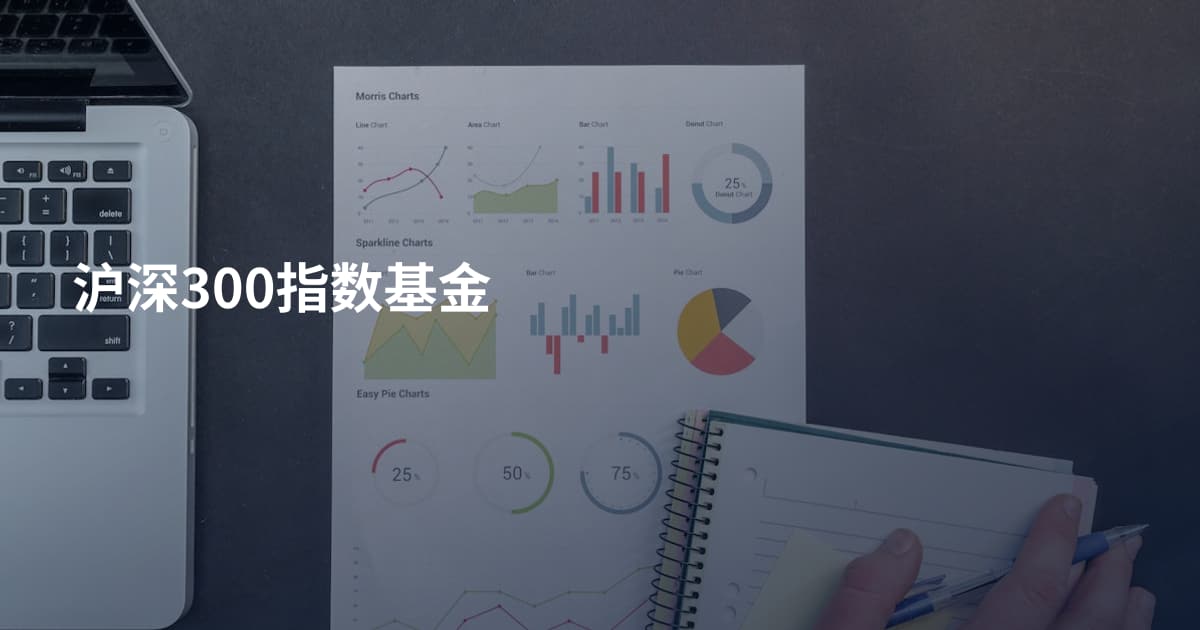 沪深300指数基金