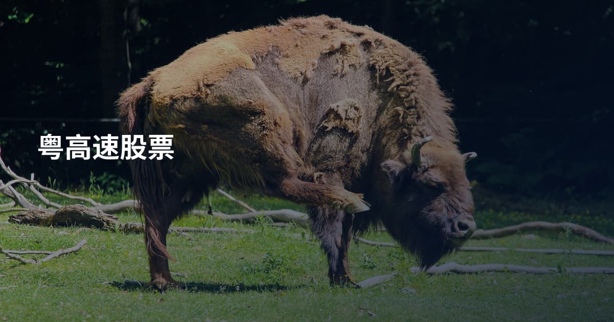 粤高速股票