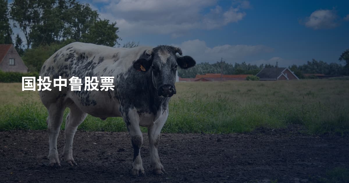 国投中鲁股票
