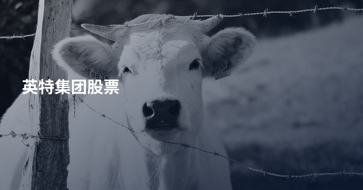 英特集团股票