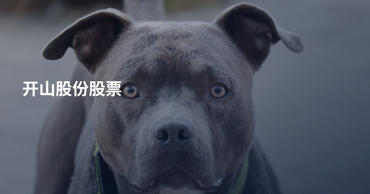 开山股份股票