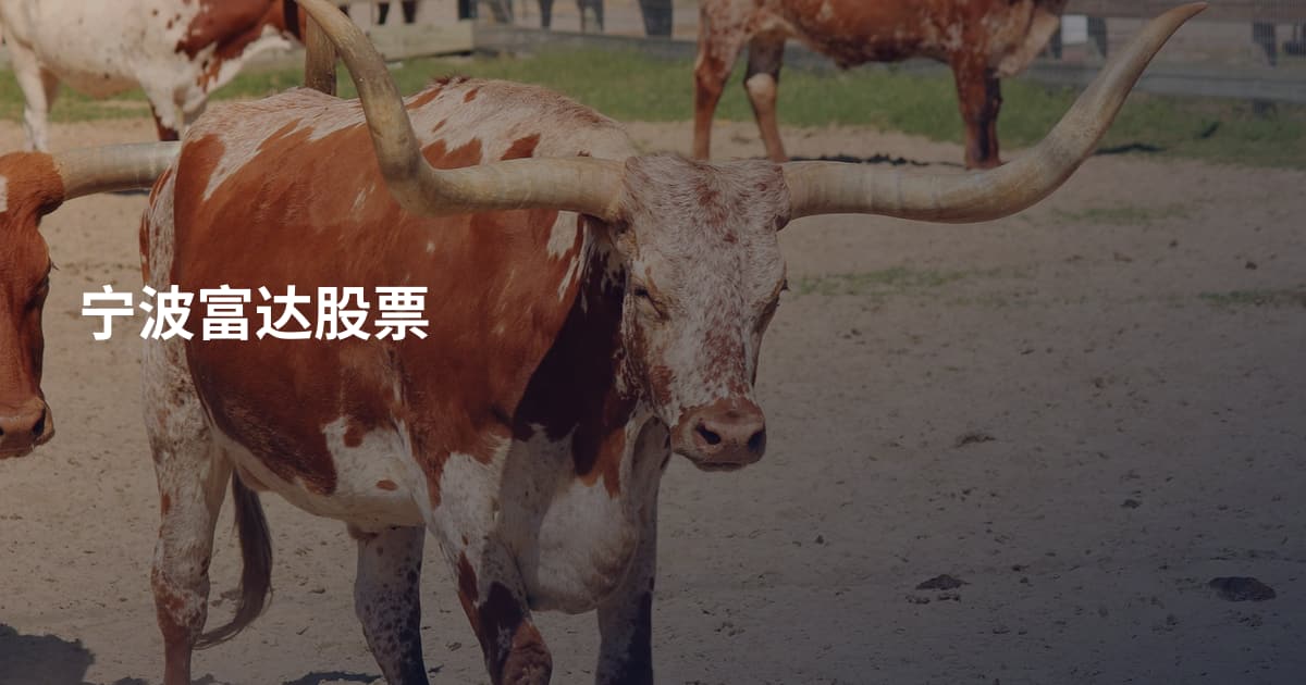 宁波富达股票
