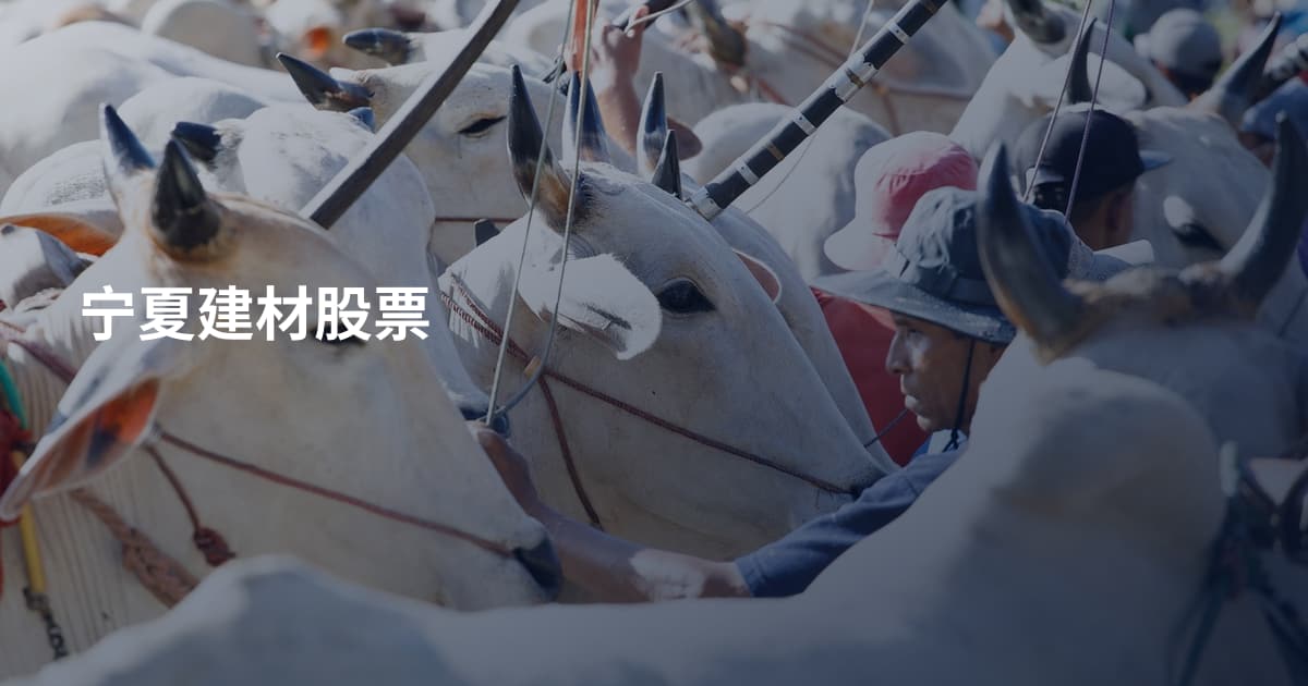 宁夏建材股票
