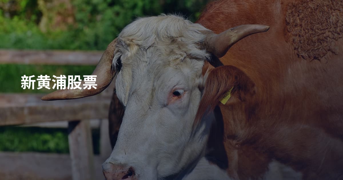 新黄浦股票