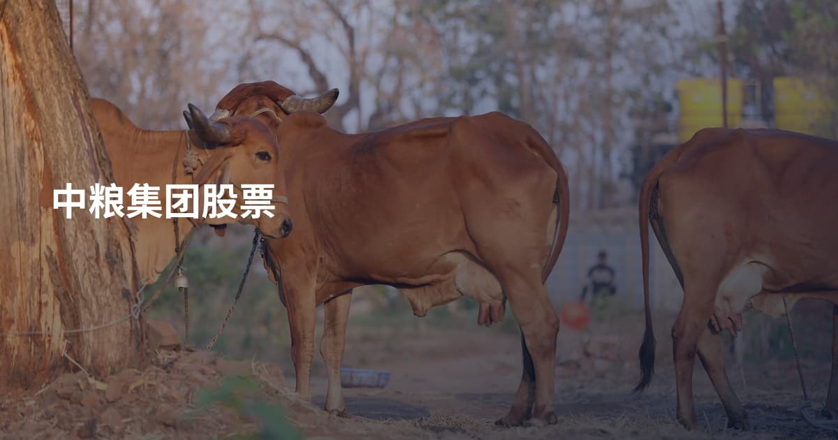 中粮集团股票