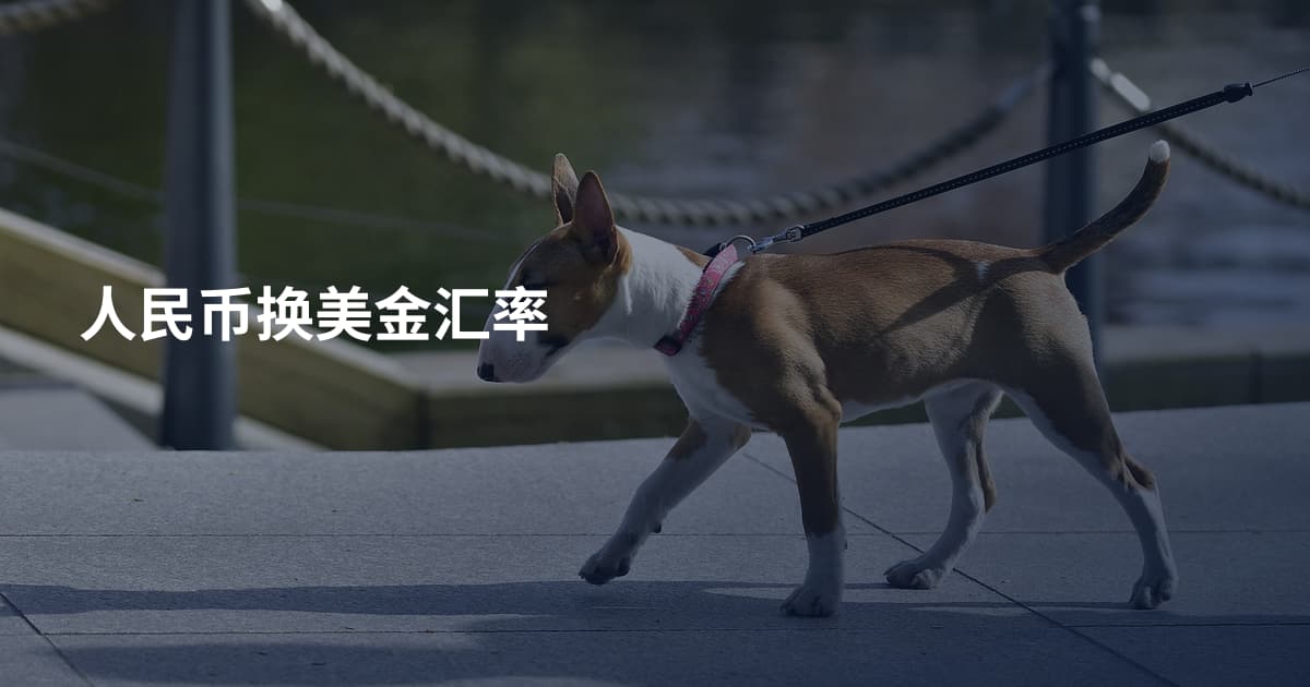 人民币换美金汇率