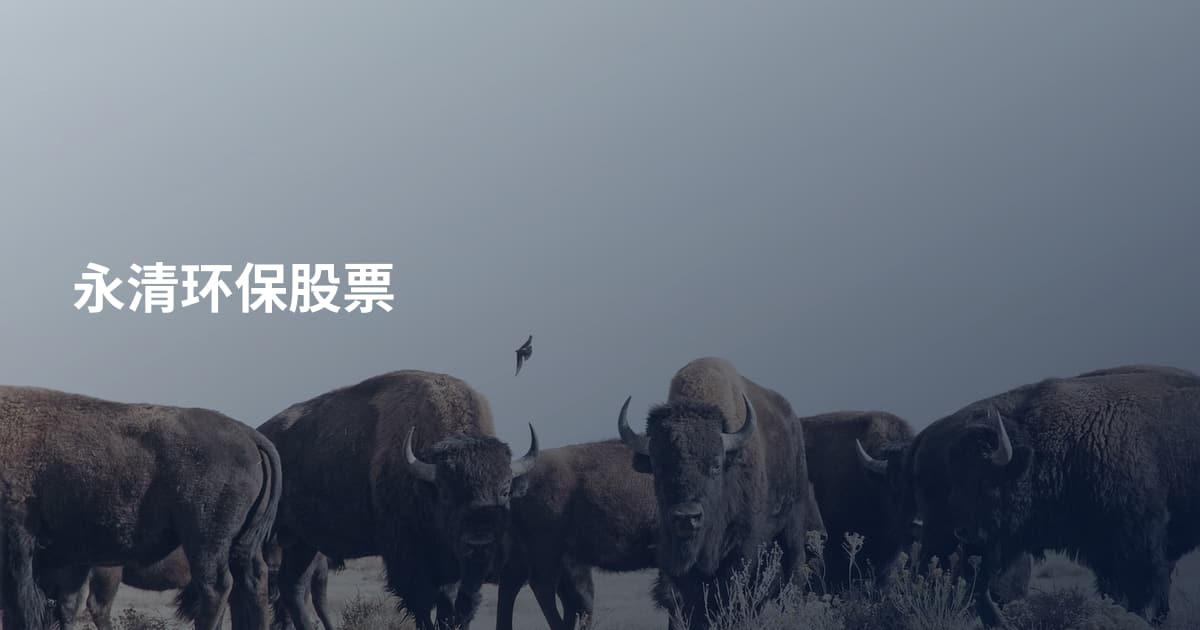 永清环保股票