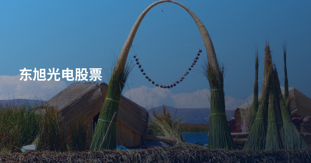 东旭光电股票