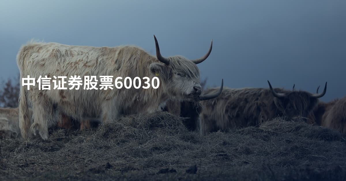 中信证券股票60030