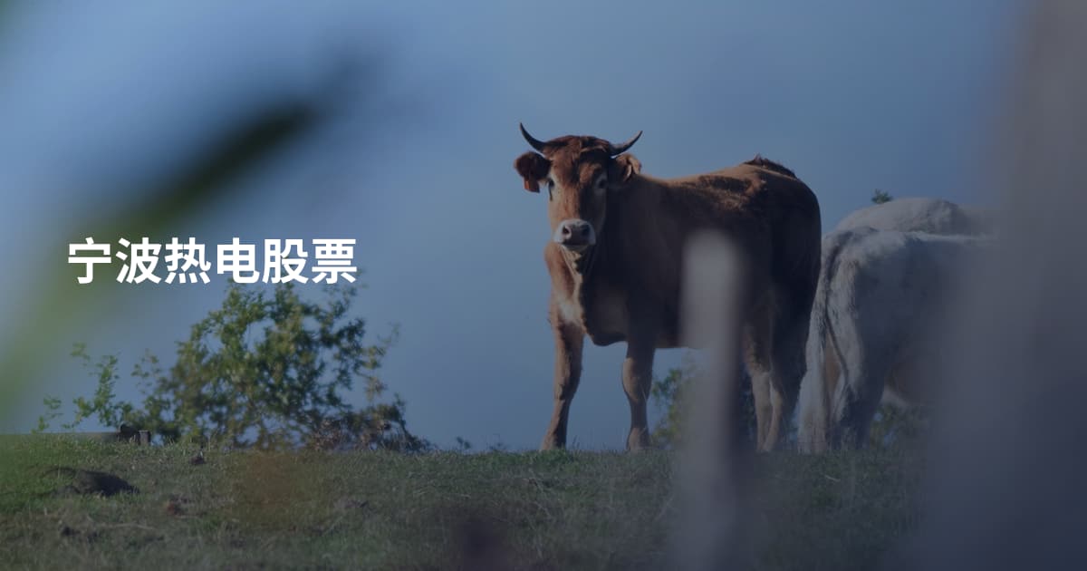 宁波热电股票