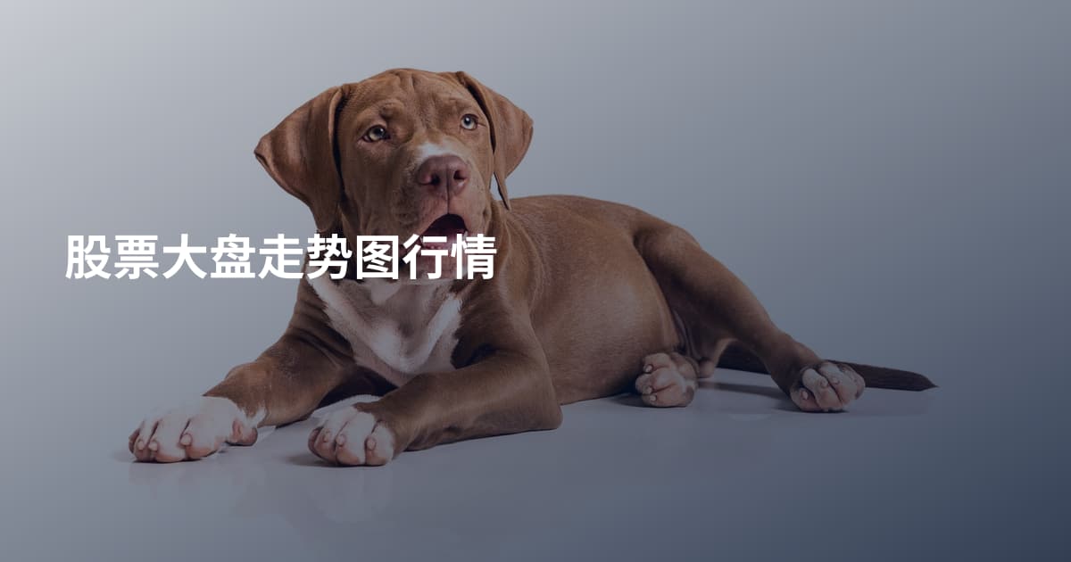 股票大盘走势图行情