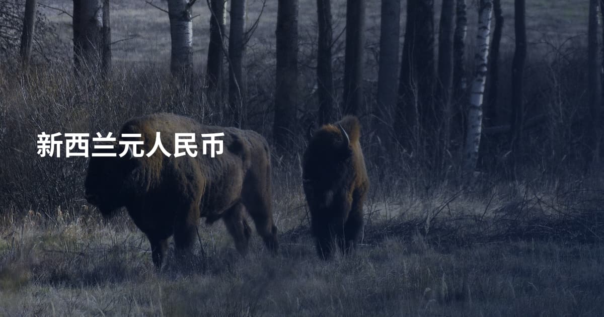 新西兰元人民币