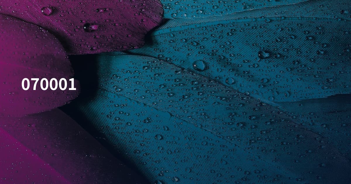070001