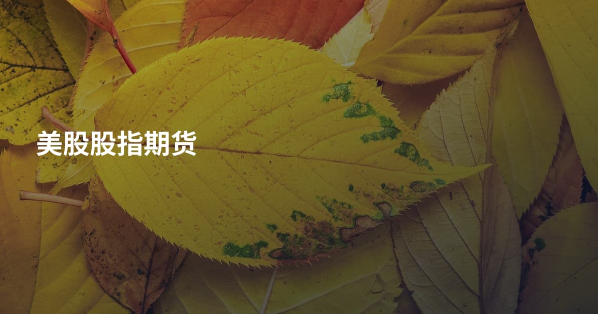 美股股指期货