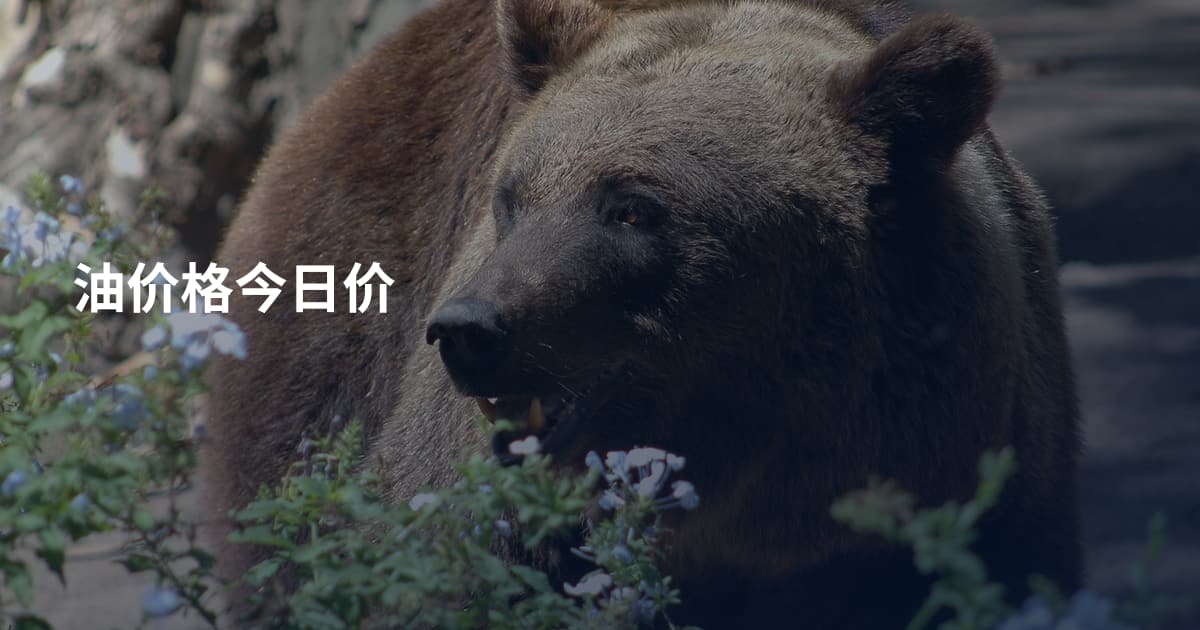 油价格今日价