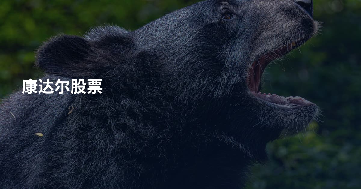 康达尔股票