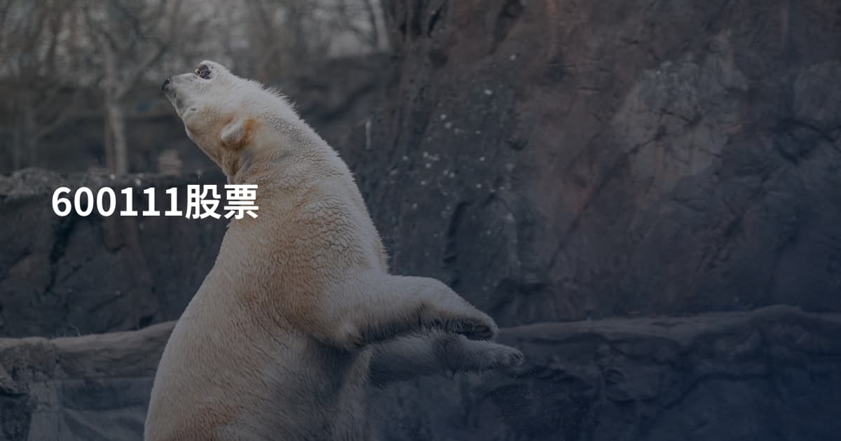 600111股票