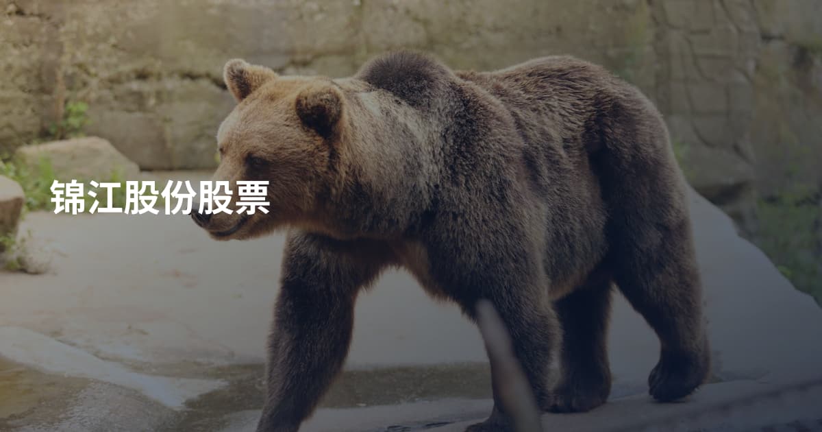 锦江股份股票