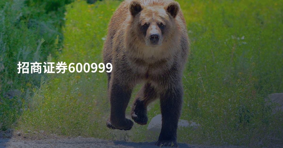 招商证券600999