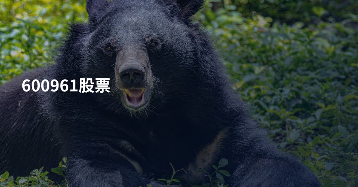 600961股票