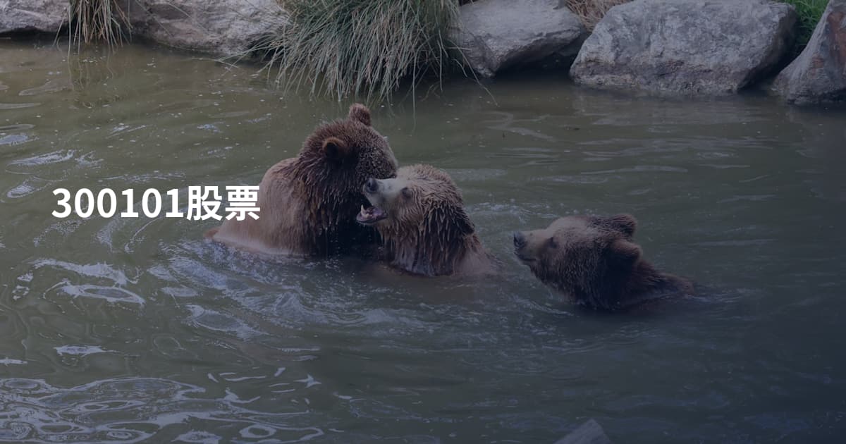 300101股票