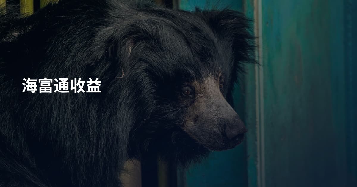 海富通收益
