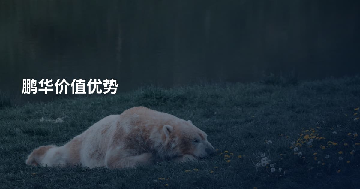 鹏华价值优势