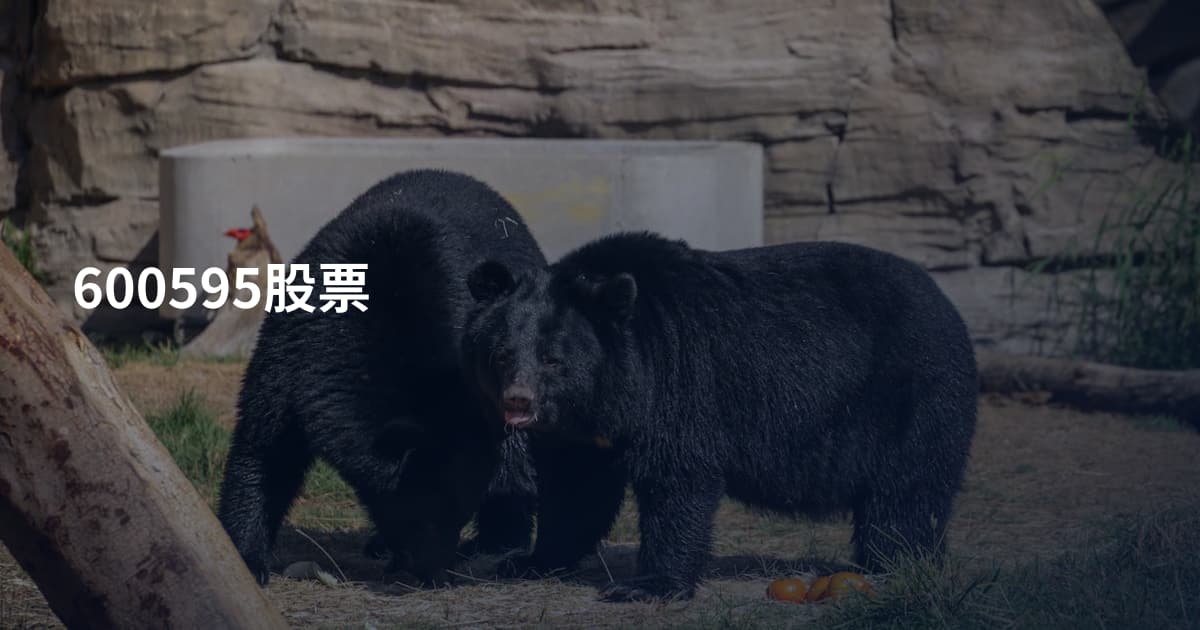600595股票