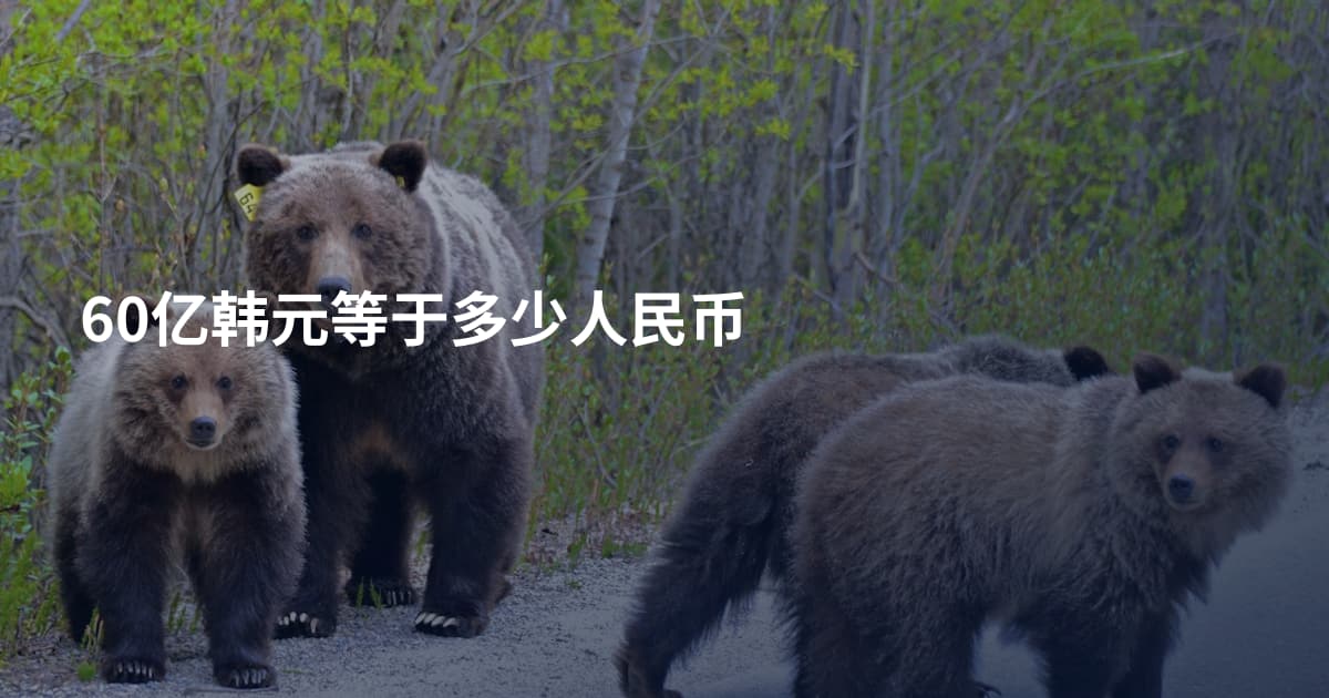 60亿韩元等于多少人民币